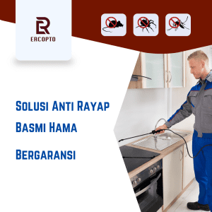 jasa basmi rayap yogyakarta