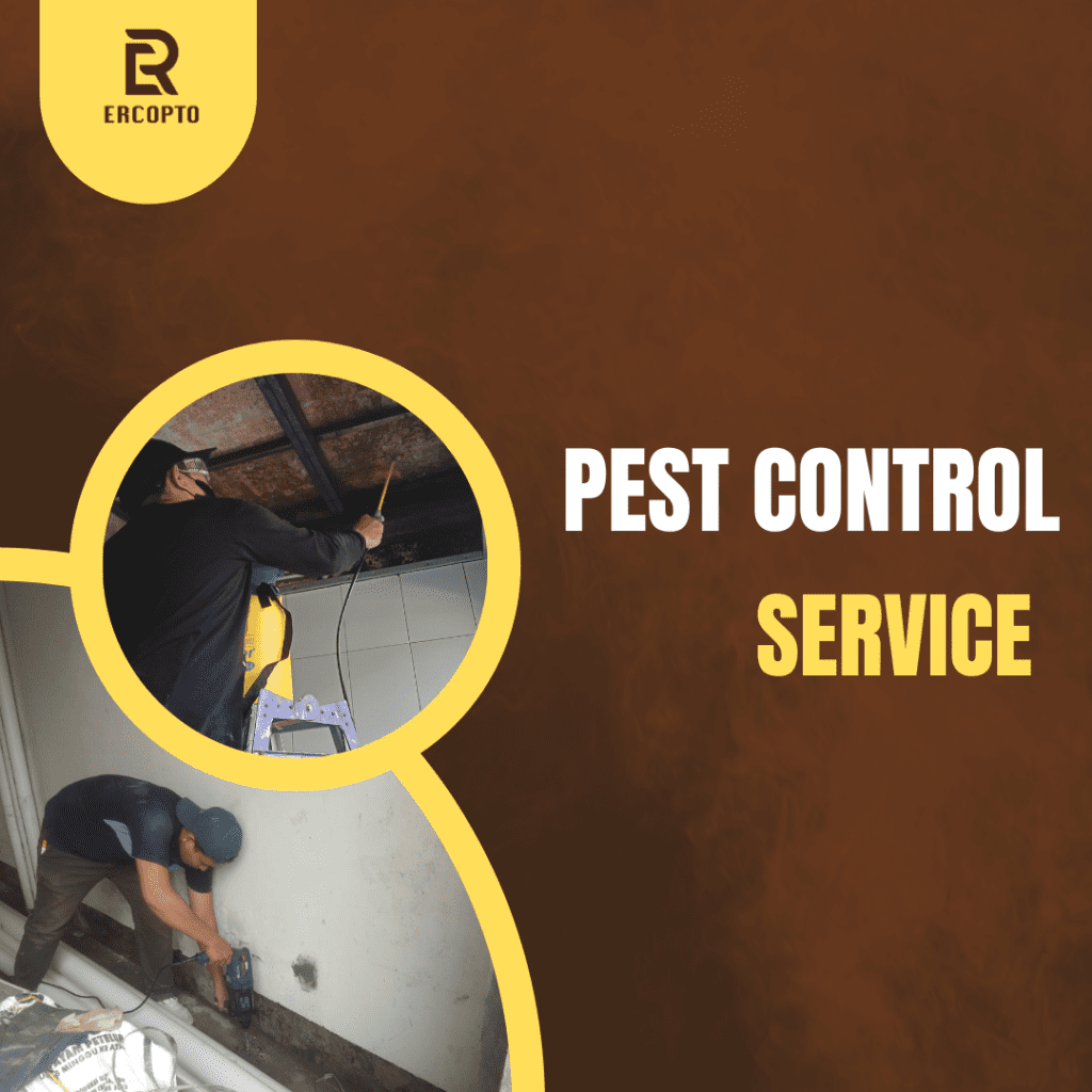 Jasa Pest Control Jogja